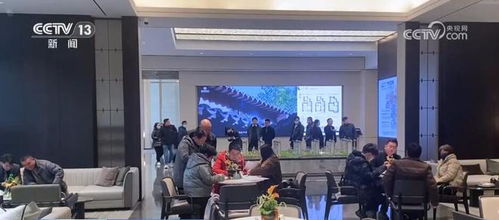房地产政策持续起效 咨询量激增，市场活跃度显著提升